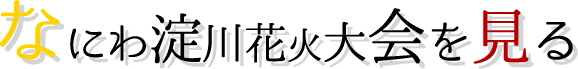 なにわ淀川花火大会を見る